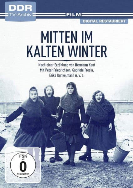Mitten im kalten Winterのポスター