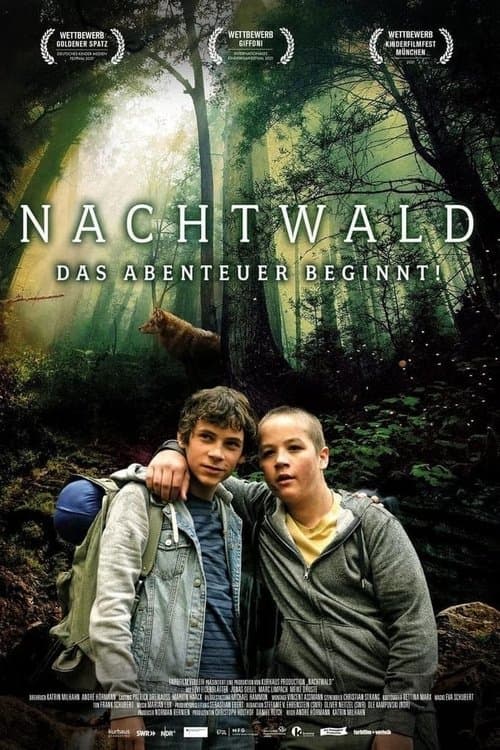 Nachtwaldのポスター