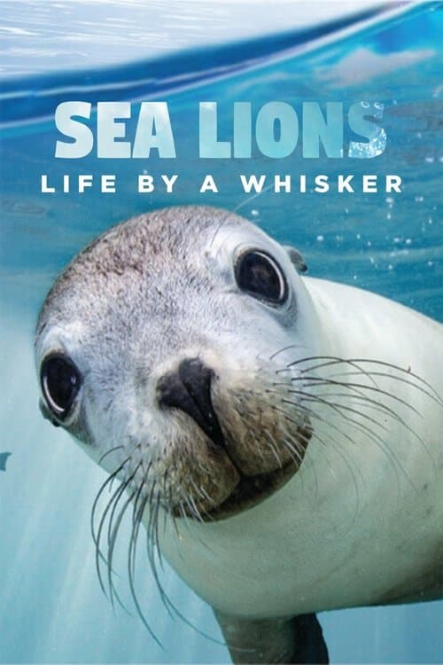 Sea Lions: Life By a Whiskerのポスター