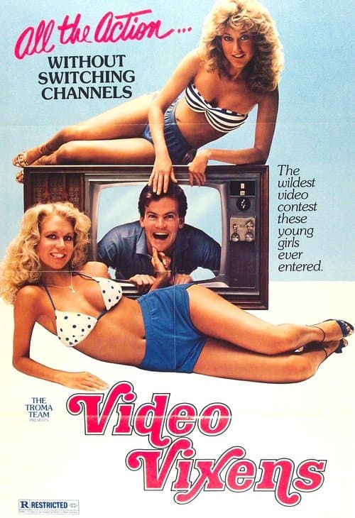 Video Vixens!のポスター