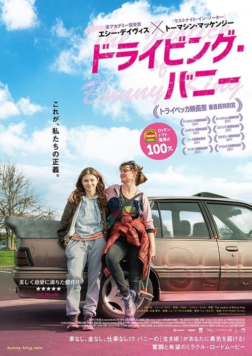 ドライビング・バニーのポスター