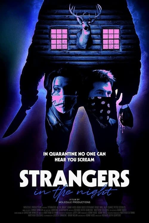Strangers in the Nightのポスター