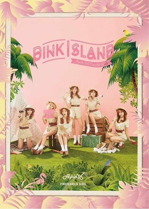 Apink 2nd Concert "Pink Island"のポスター
