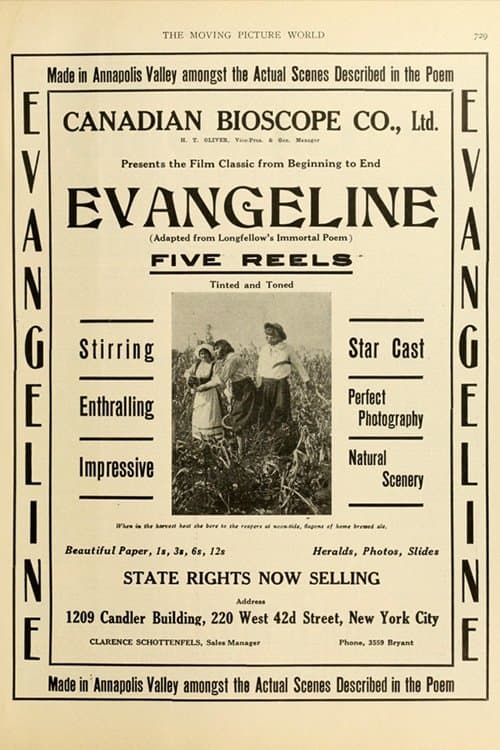 Evangelineのポスター