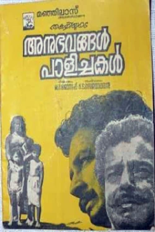 അനുഭവങ്ങൾ പാളിച്ചകൾのポスター