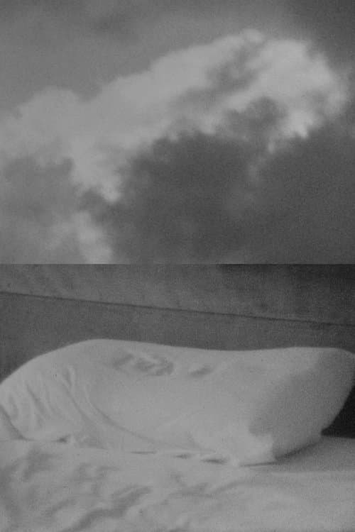 Vislumbresのポスター