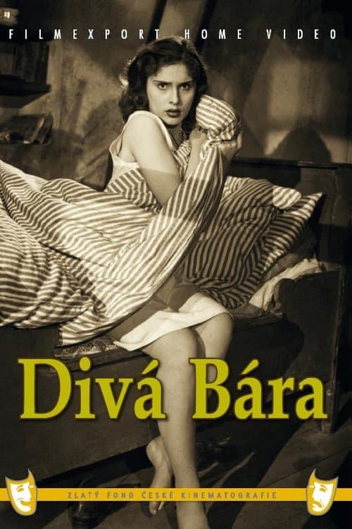 Divá Báraのポスター