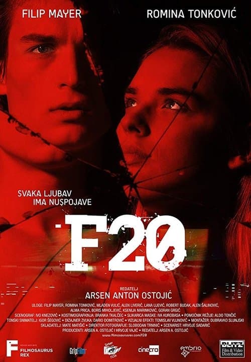 F20のポスター
