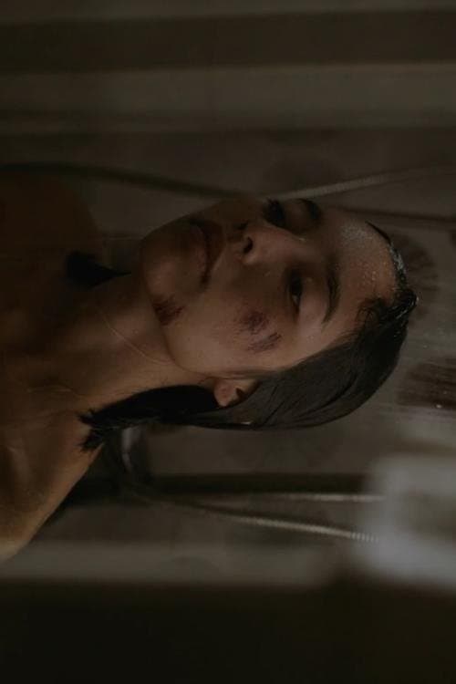 49/232のポスター