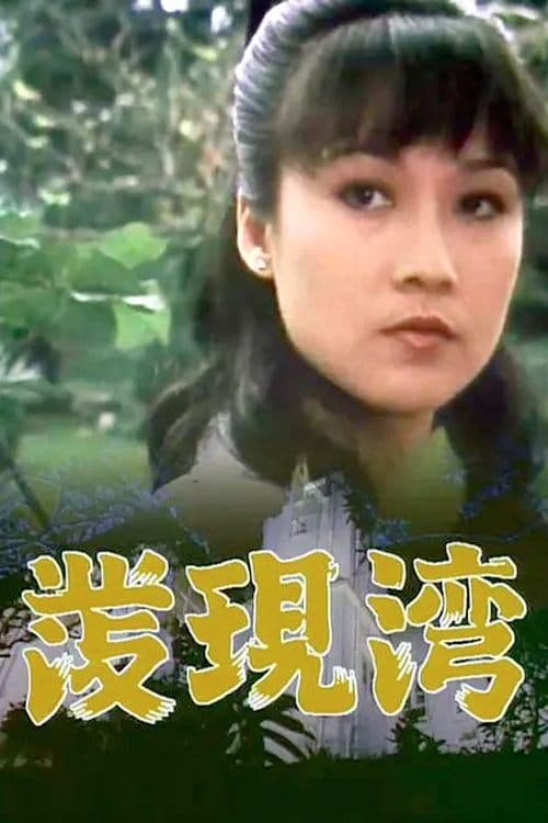 發現灣のポスター