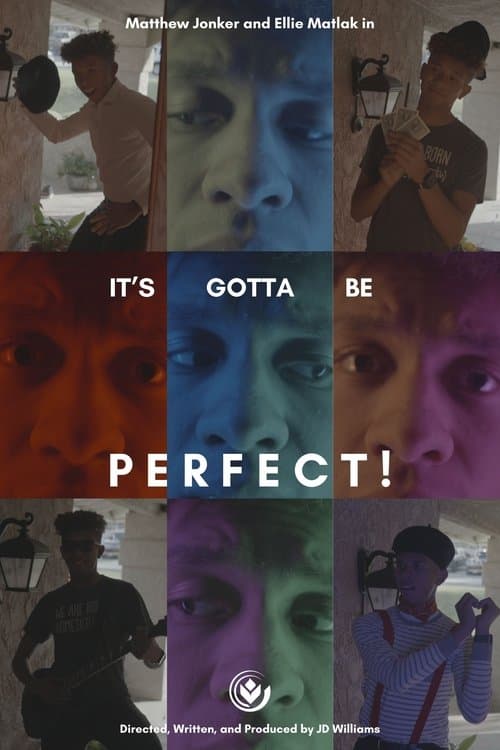 It's Gotta Be Perfect!のポスター