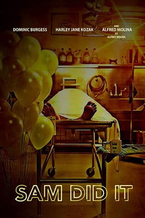 Sam Did Itのポスター