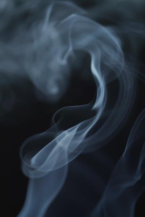 The Cannabis Questionのポスター