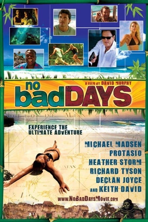 No Bad Daysのポスター