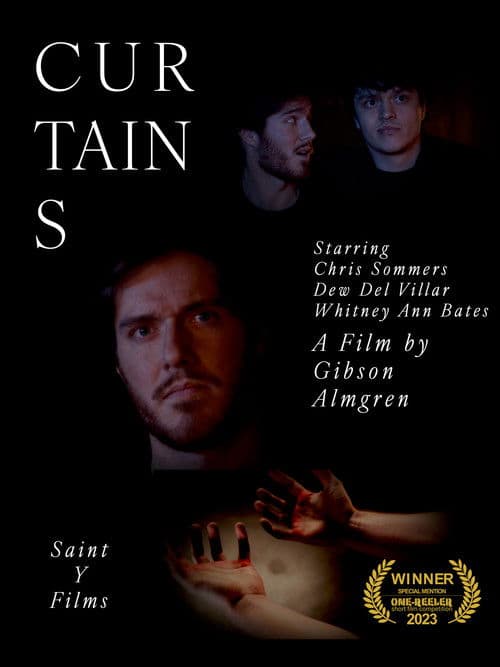 Curtainsのポスター