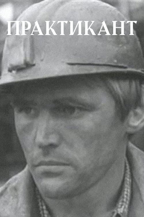 Практикантのポスター