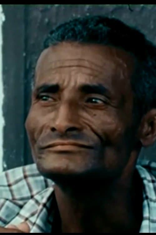 Memória da Vida e do Trabalhoのポスター