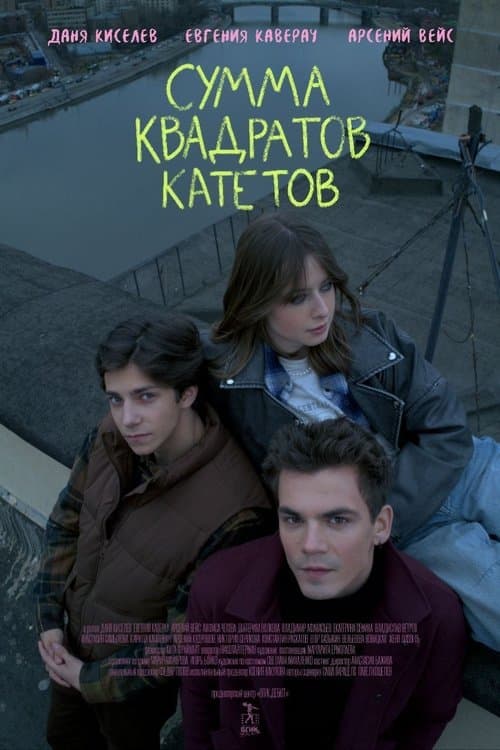 Сумма квадратов катетовのポスター