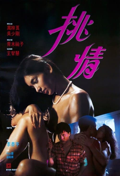 挑情のポスター