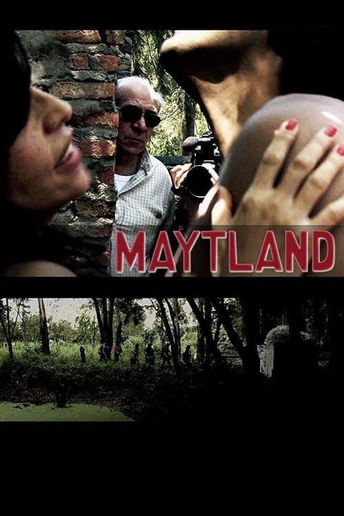 Maytlandのポスター