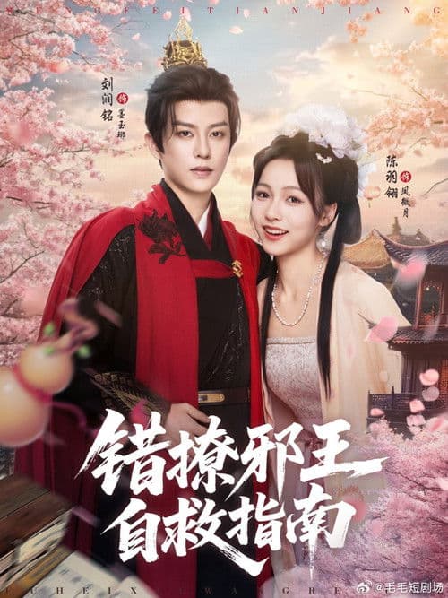 错撩邪王自救指南のポスター