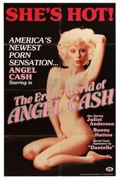 The Erotic World of Angel Cashのポスター
