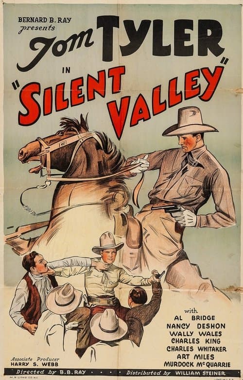 Silent Valleyのポスター