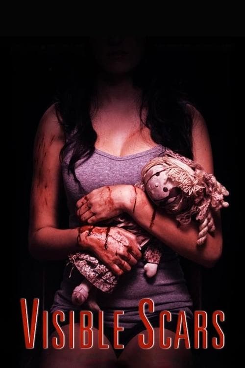 Visible Scarsのポスター