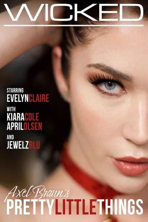 Pretty little Thingsのポスター