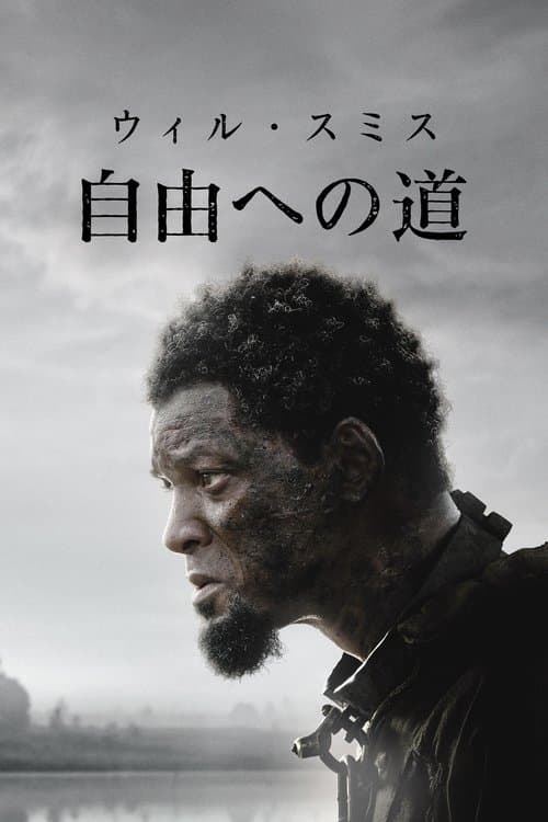 自由への道のポスター