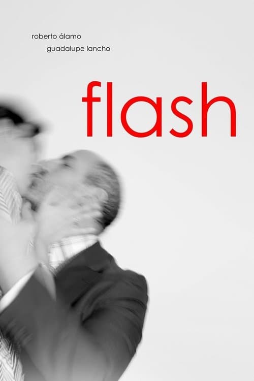 Flashのポスター