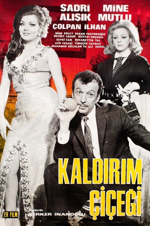 Kaldırım Çiçeğiのポスター