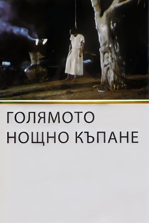 Голямото нощно къпанеのポスター