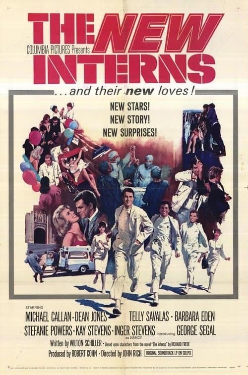 The New Internsのポスター