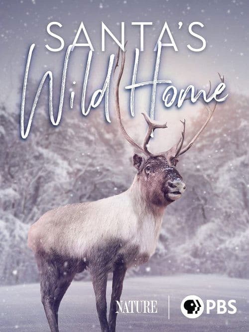 Santa's Wild Homeのポスター