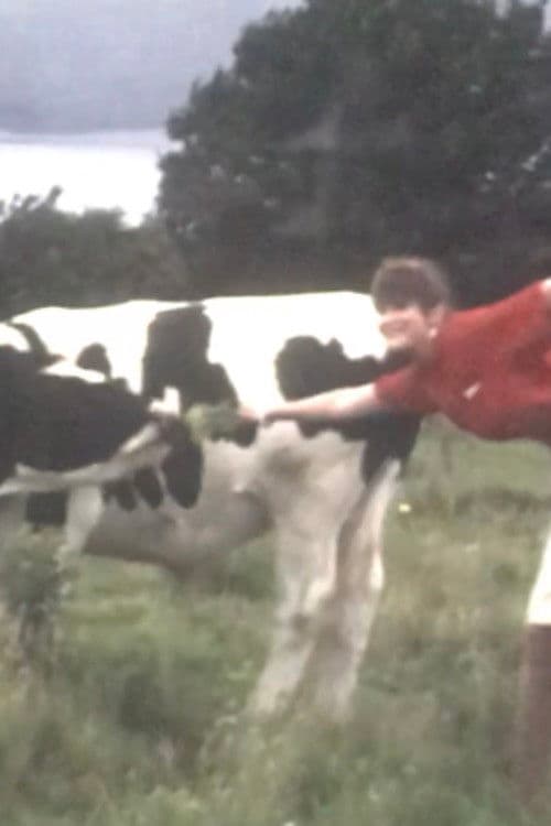 Visibility: Moderateのポスター