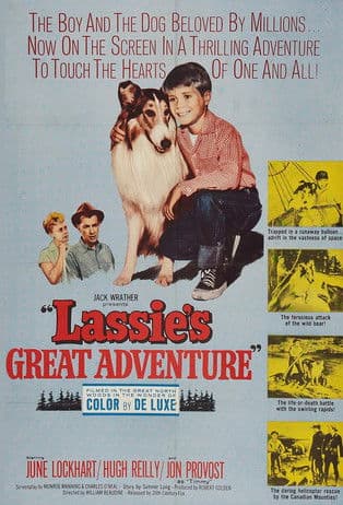 Lassie's Great Adventureのポスター