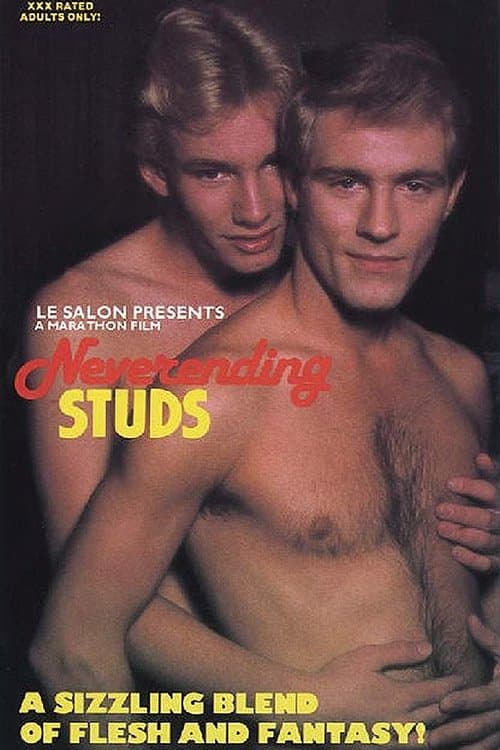 Neverending Studsのポスター