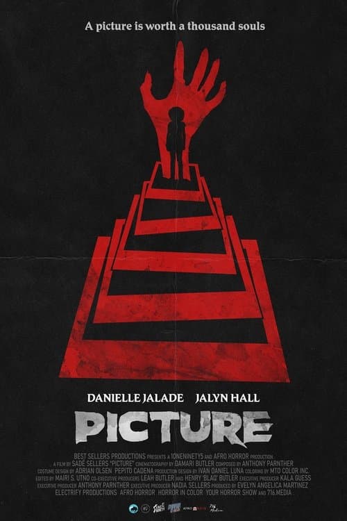 Pictureのポスター