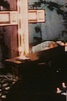 St. Pelagius the Penitentのポスター