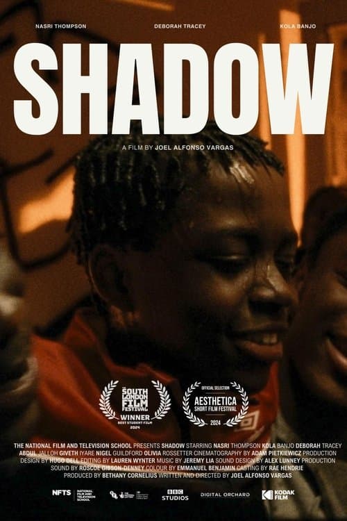 Shadowのポスター