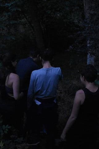 Perenneのポスター