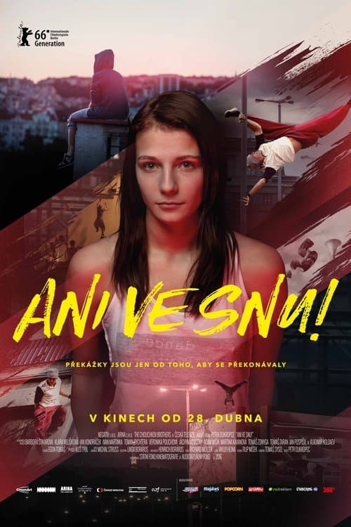 Ani ve snu!のポスター
