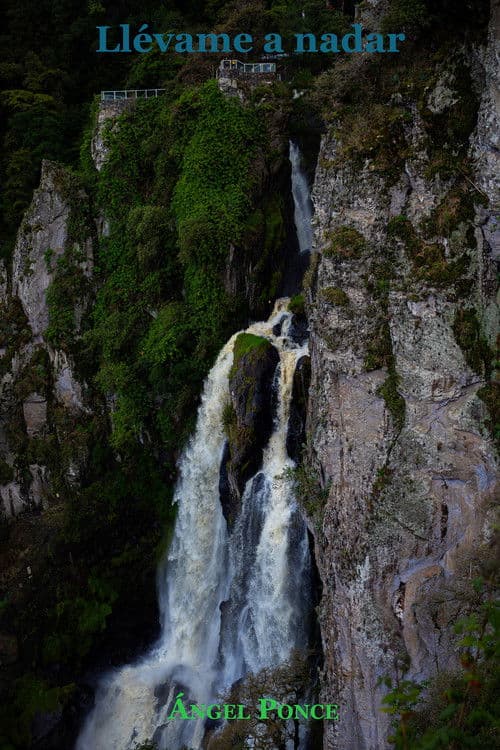 Llévame a nadarのポスター