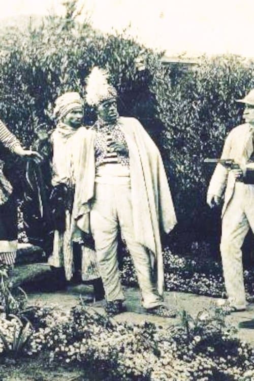 The White Pantherのポスター