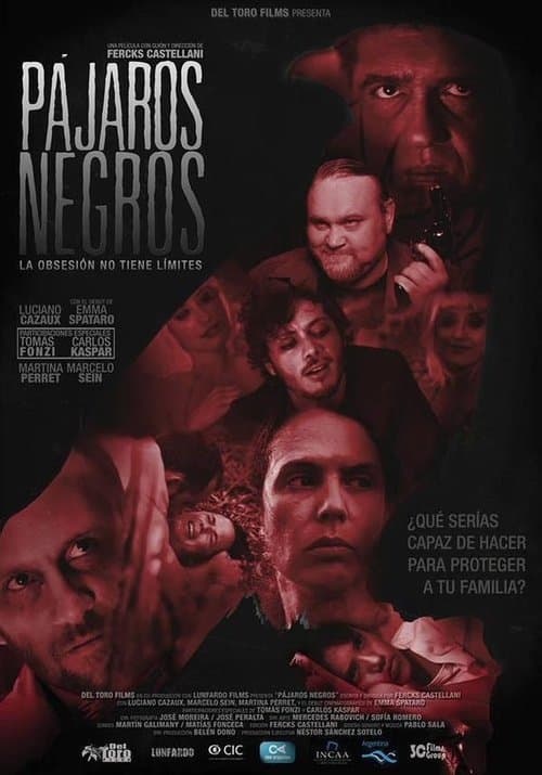 Pájaros negrosのポスター