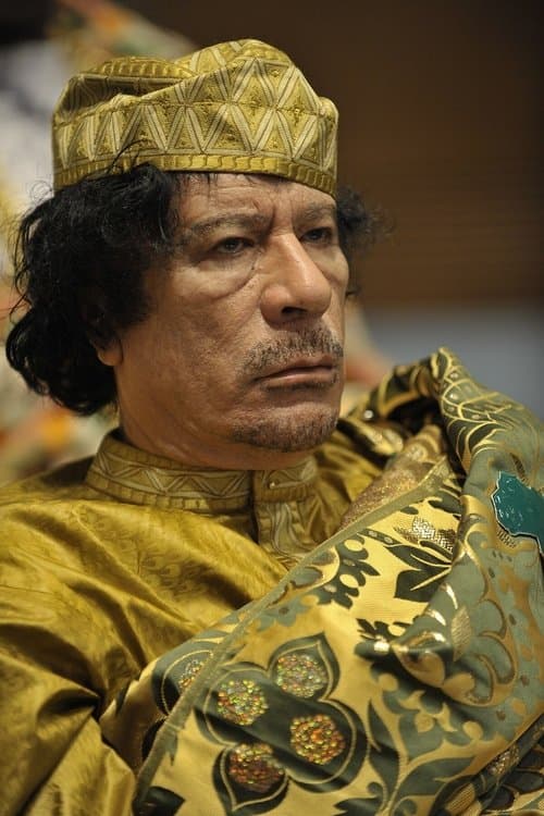 Muammar Gaddafi speech at United Nations General Assemblyのポスター