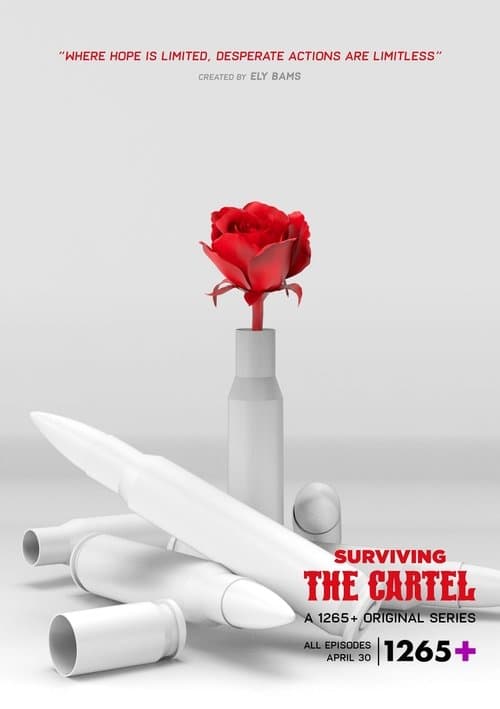 Sobreviviendo al cártelのポスター