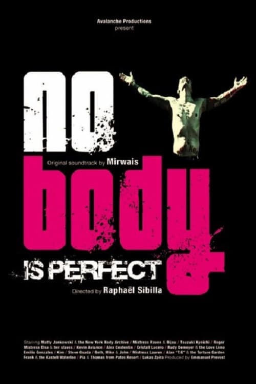 No Body Is Perfectのポスター