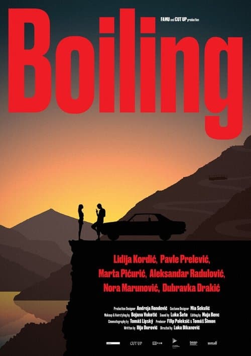 Ključanjeのポスター